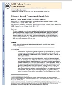 A Dynamic Network Perspective of Chronic Pain