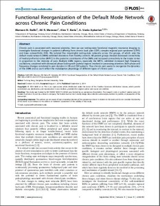 Functional Reorganization of the Default Mode Network DMN across Chronic Pain Conditions