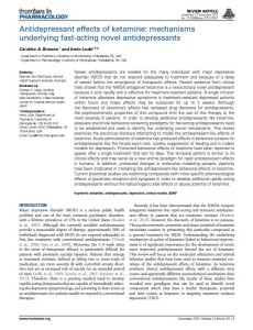 Antidepressant effects of ketamine: mechanisms underlying fast-acting novel antidepressants