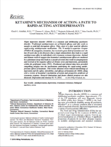 Krystal Review of Ketamine's mechanism of action: A Path to Rapid-Acting Antidepressants
