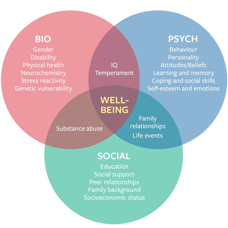 Diagram showing biological, psychological and social contributors to wellbeing