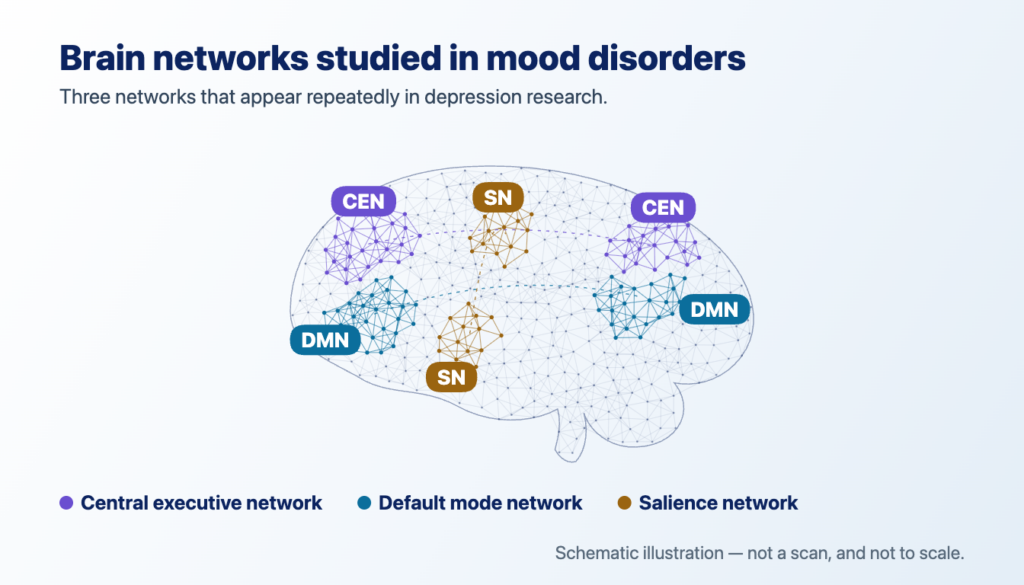 Schematic illustration of three brain networks — default mode, salience and central executive — labeled by anatomy